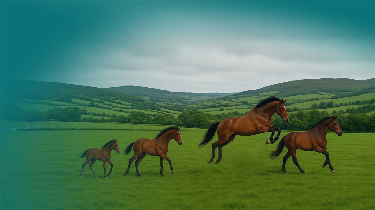 From Foal To Retiree How Your Horse’S Insurance Needs Change Over Time.Png