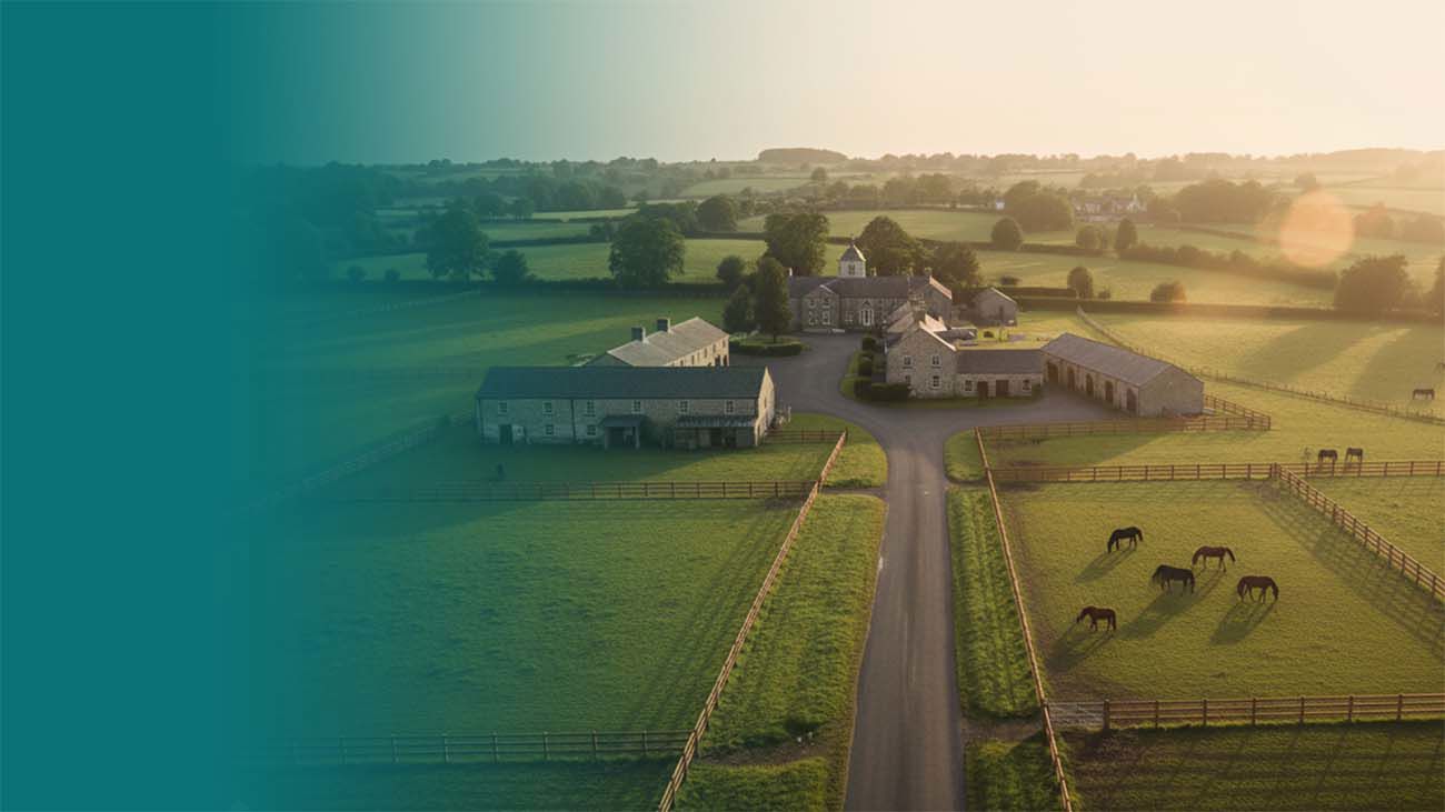 Preparing Your Equine Property For Autumn An Irish Owner’S Guide.Png