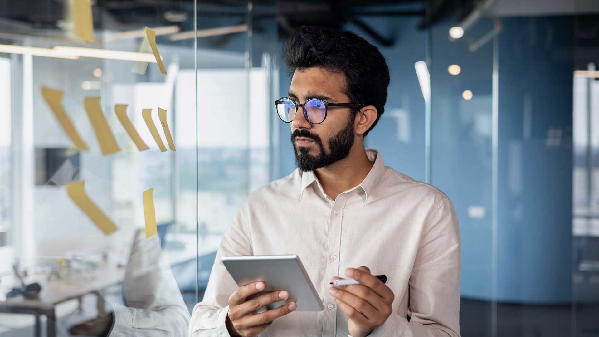 IT Consultant