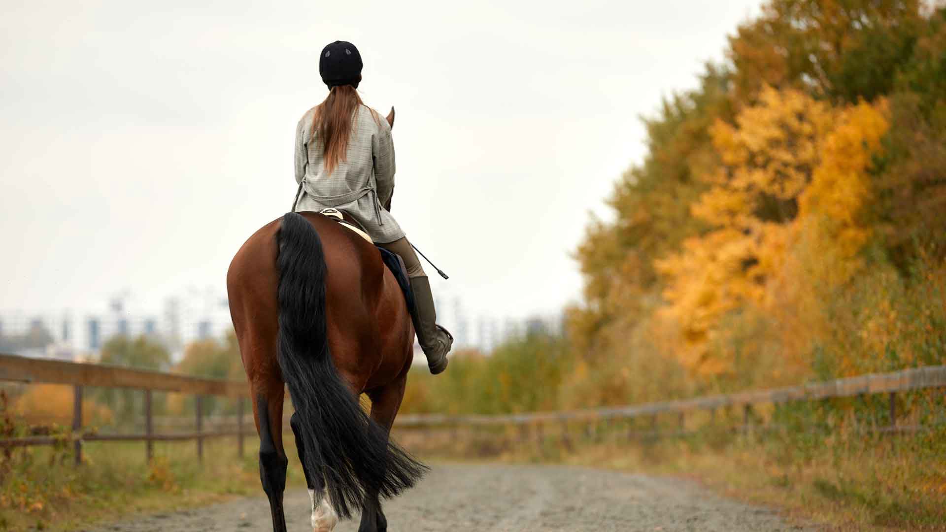 Woman on a horse in Ireland track as the sunsets in Irish field 